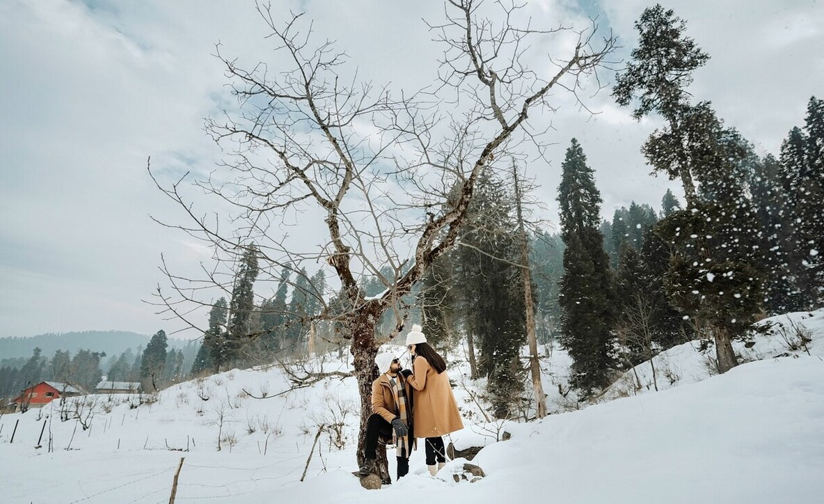 best place for honeymoon for indian, images, pics of kasauli, honeymoon packages in india,